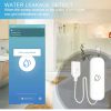 Water Leak Sensor