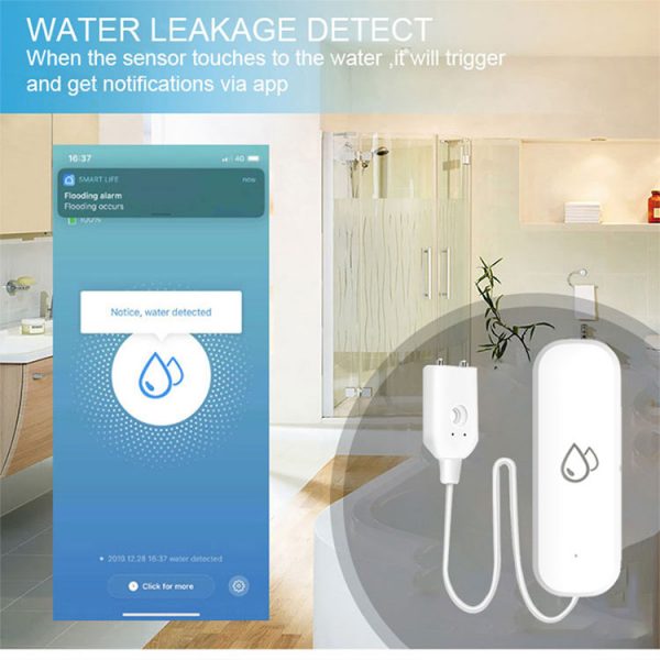 Water Leak Sensor