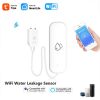 Water Leak Sensor