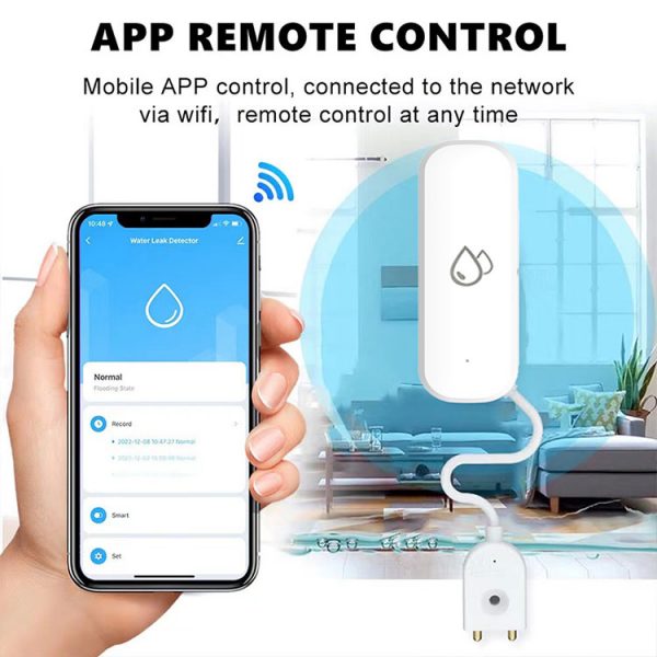 Water Leak Sensor
