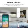 Water Leak Sensor