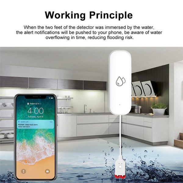Water Leak Sensor